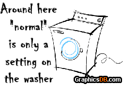 normal_washer_setting.jpg