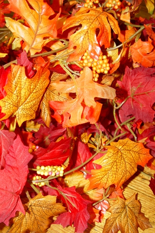 Fall Leaves iPhone Wallpaper