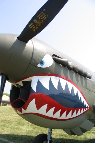 P 40 Warhawk iPhone Wallpaper