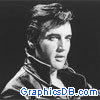 elvis presley 355