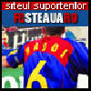 steaua