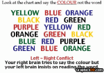 optical illusions colours