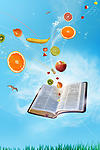 Fruit Book