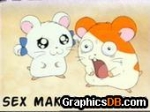 hamtaro